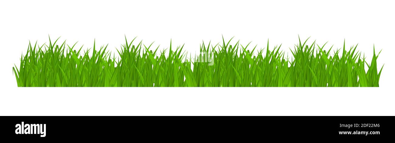Grass and border, greeting card decoration element isolated on White Background.  Illustration. Stock Photo