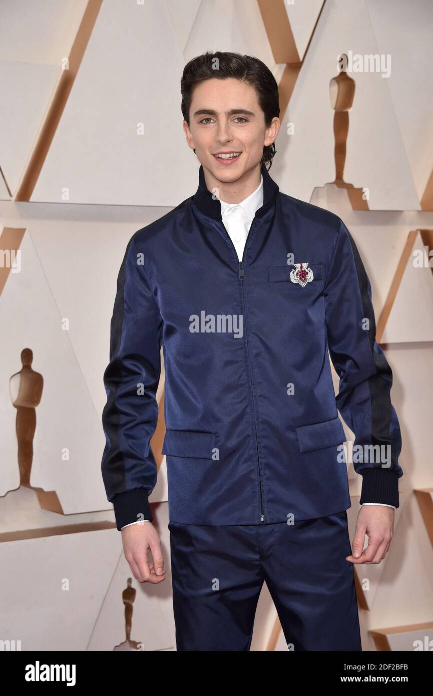 Timothee Chalamet attending the 92nd Annual Academy Awards (Oscars) at ...