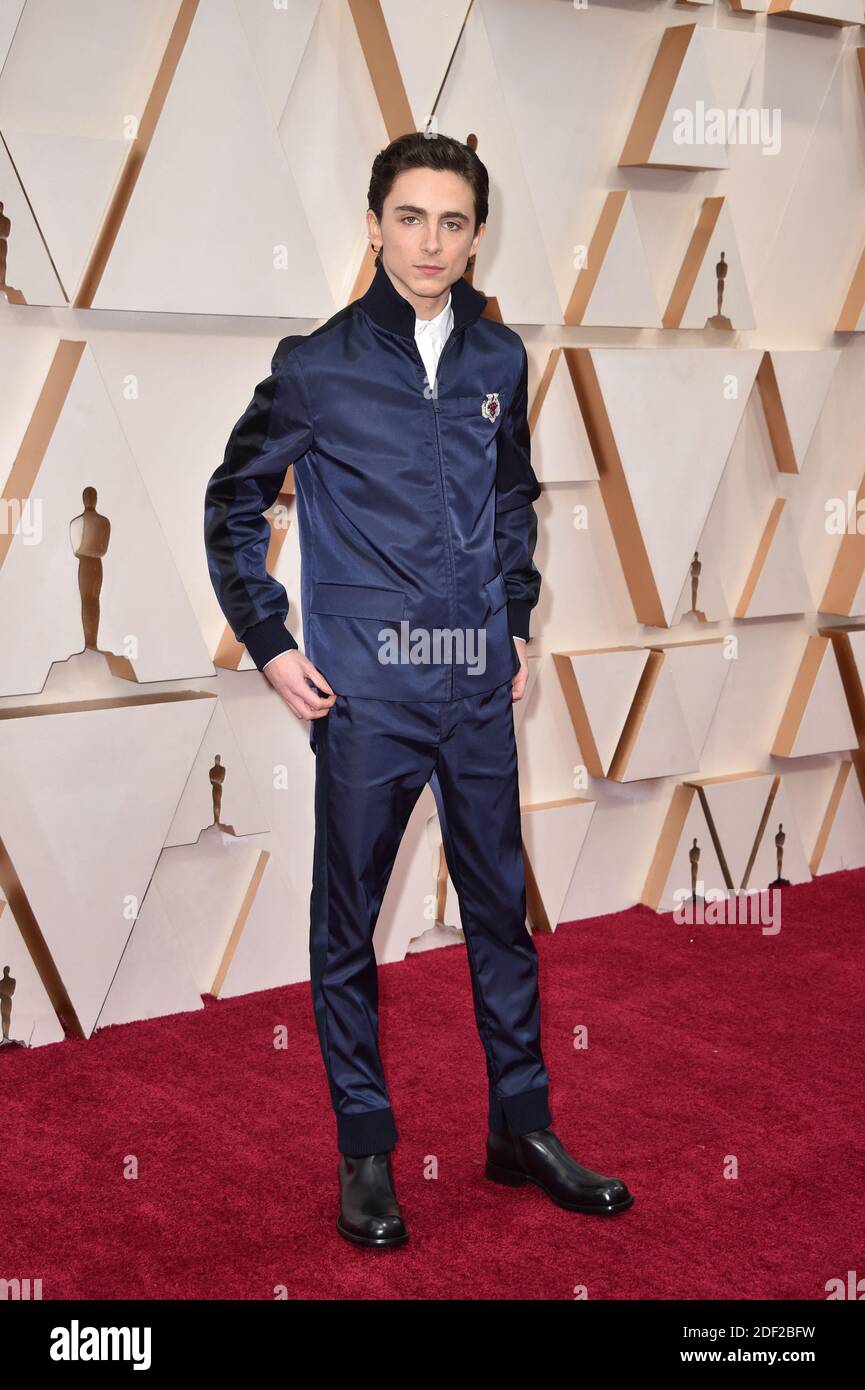 Timothee Chalamet attending the 92nd Annual Academy Awards (Oscars) at ...