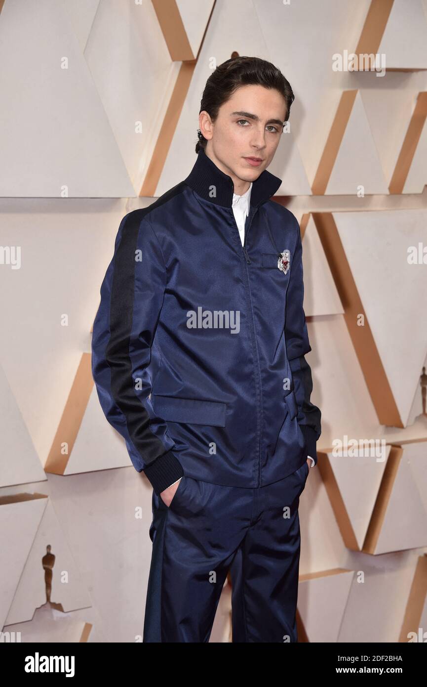 Timothee Chalamet attending the 92nd Annual Academy Awards (Oscars) at ...