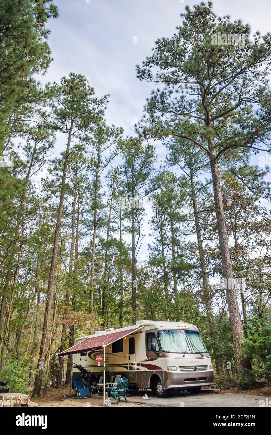 Alabama Rogersville Joe Wheeler State Park,campground recreational vehicle RV pine trees, Stock Photo