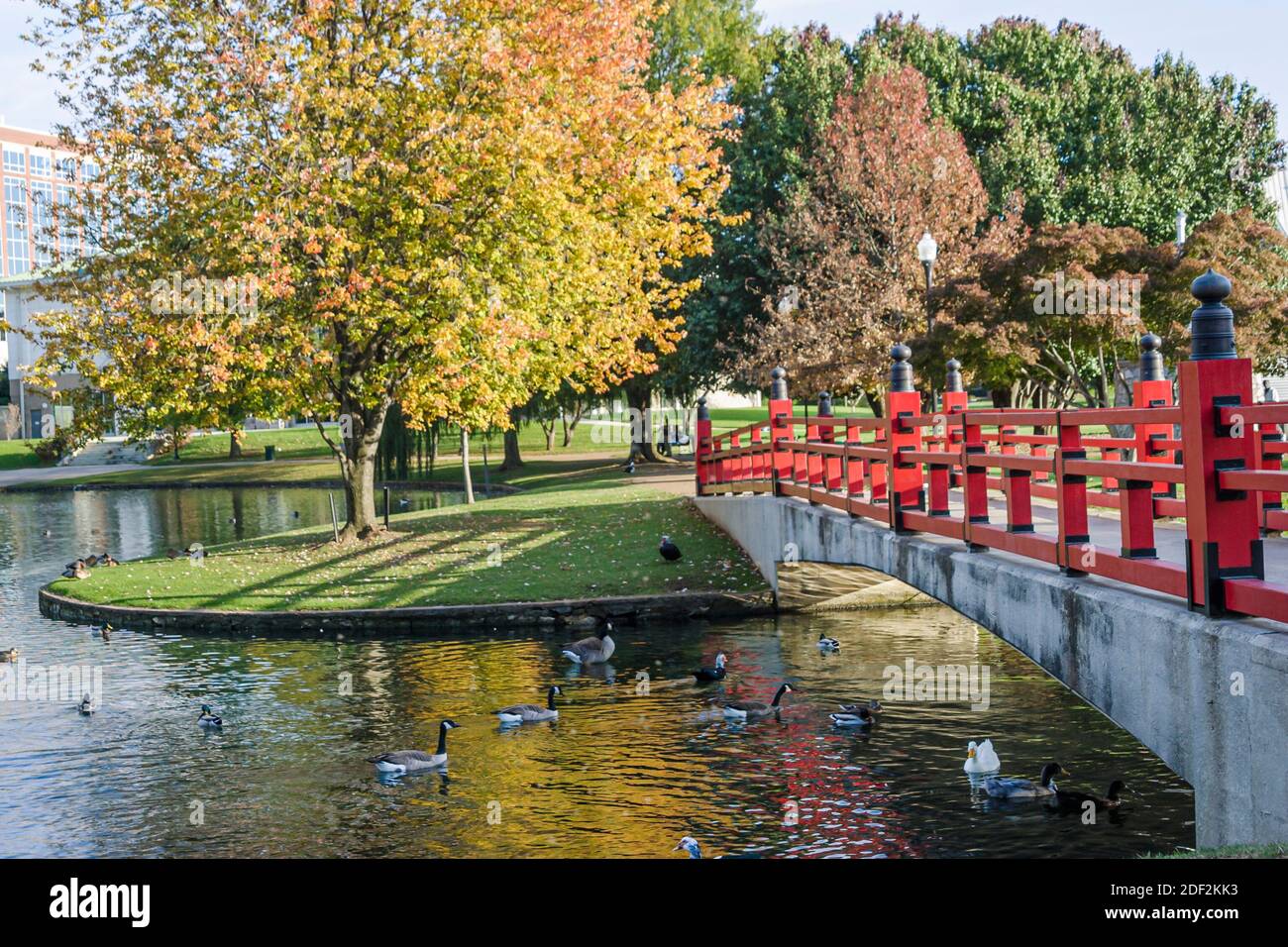 Huntsville Alabama,Big Spring Park,red Japanese bridge,fall autumn colors trees, Stock Photo