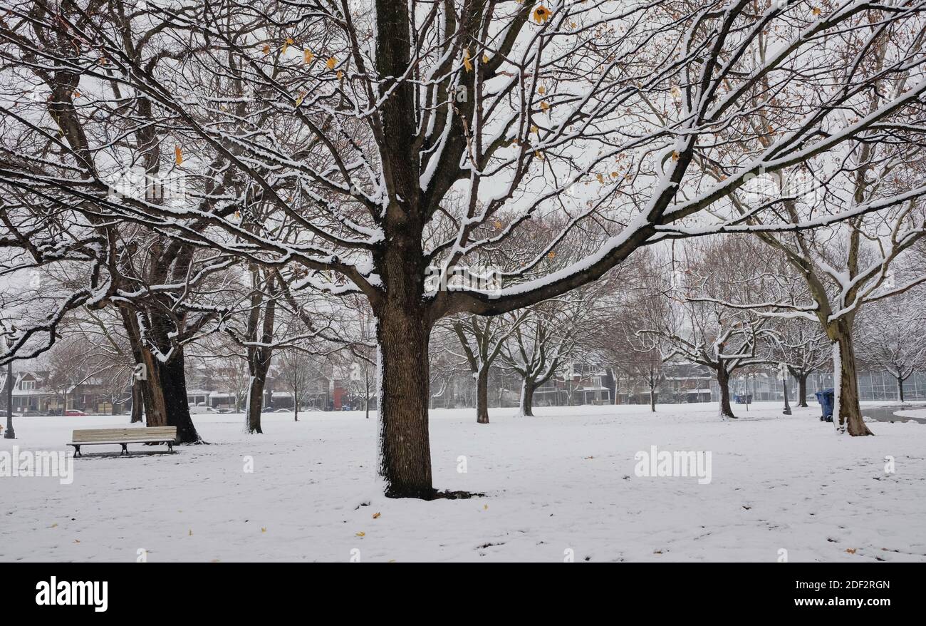 Trinity Bellwoods Park in Toronto Stock Photo Alamy