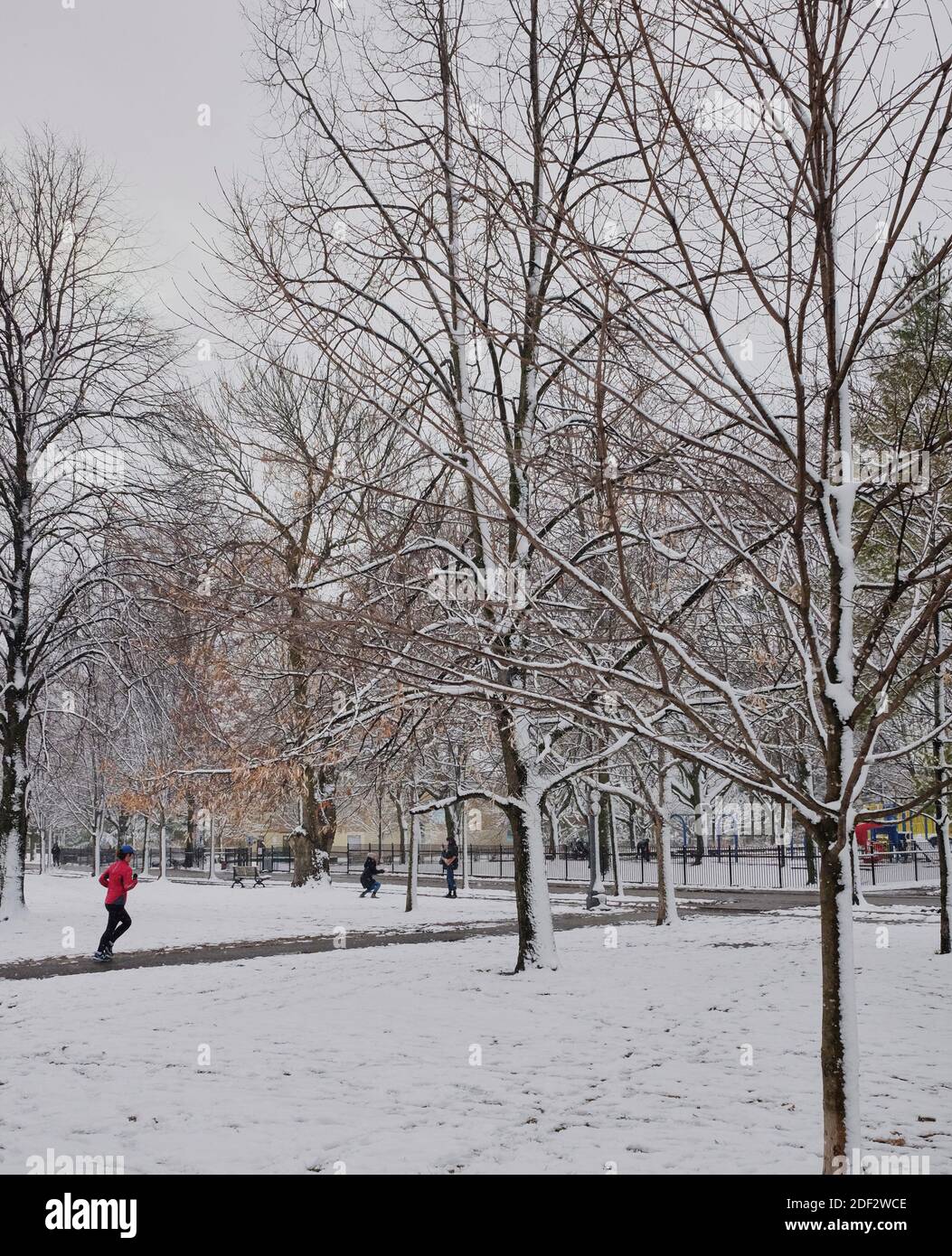 Trinity Bellwoods Park in Toronto Stock Photo Alamy