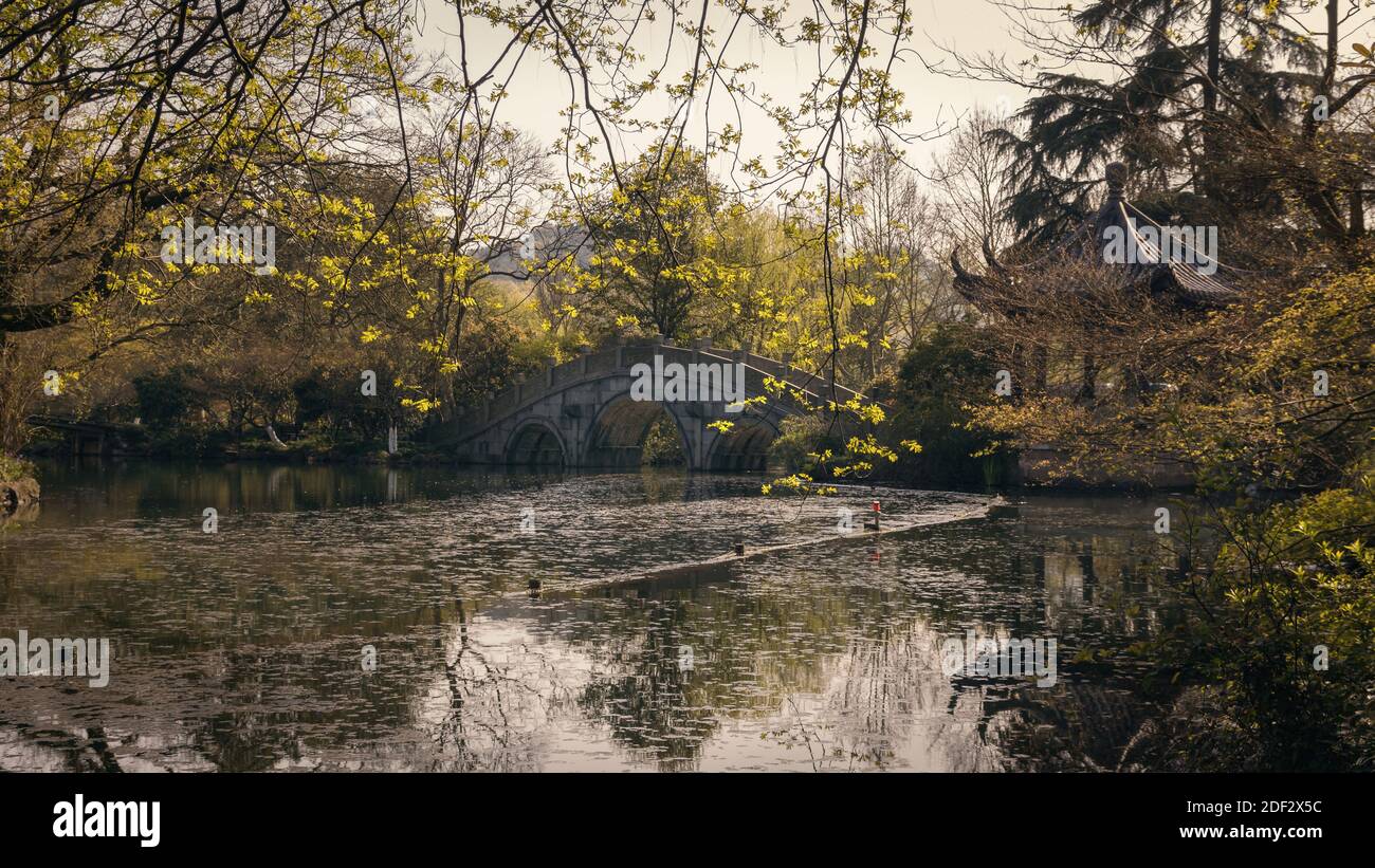 PARK AT WEST LAKE IN HANGZHOU, CHINA Stock Photo Alamy