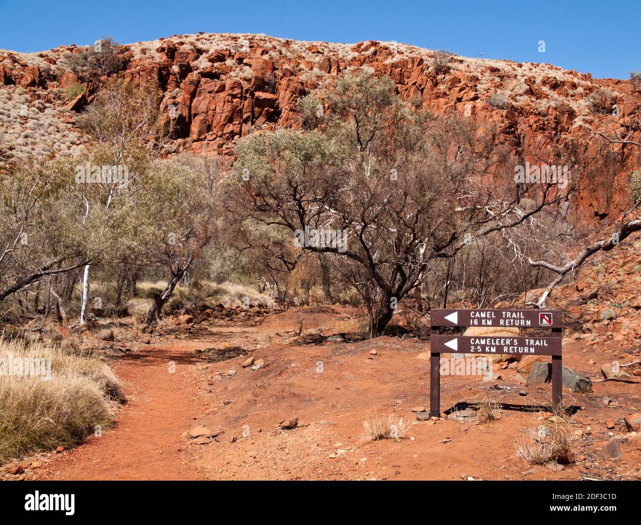 Camel & Cameleer's trails start at Python Pool, Millstream Chichester ...