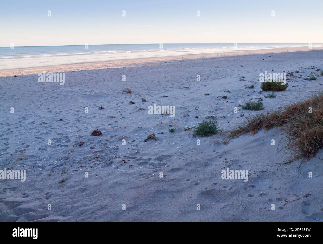 80 Mile Beach  on the edge of the Great Sandy Desert snd the Indian Ocean, Western Australia. Stock Photo
