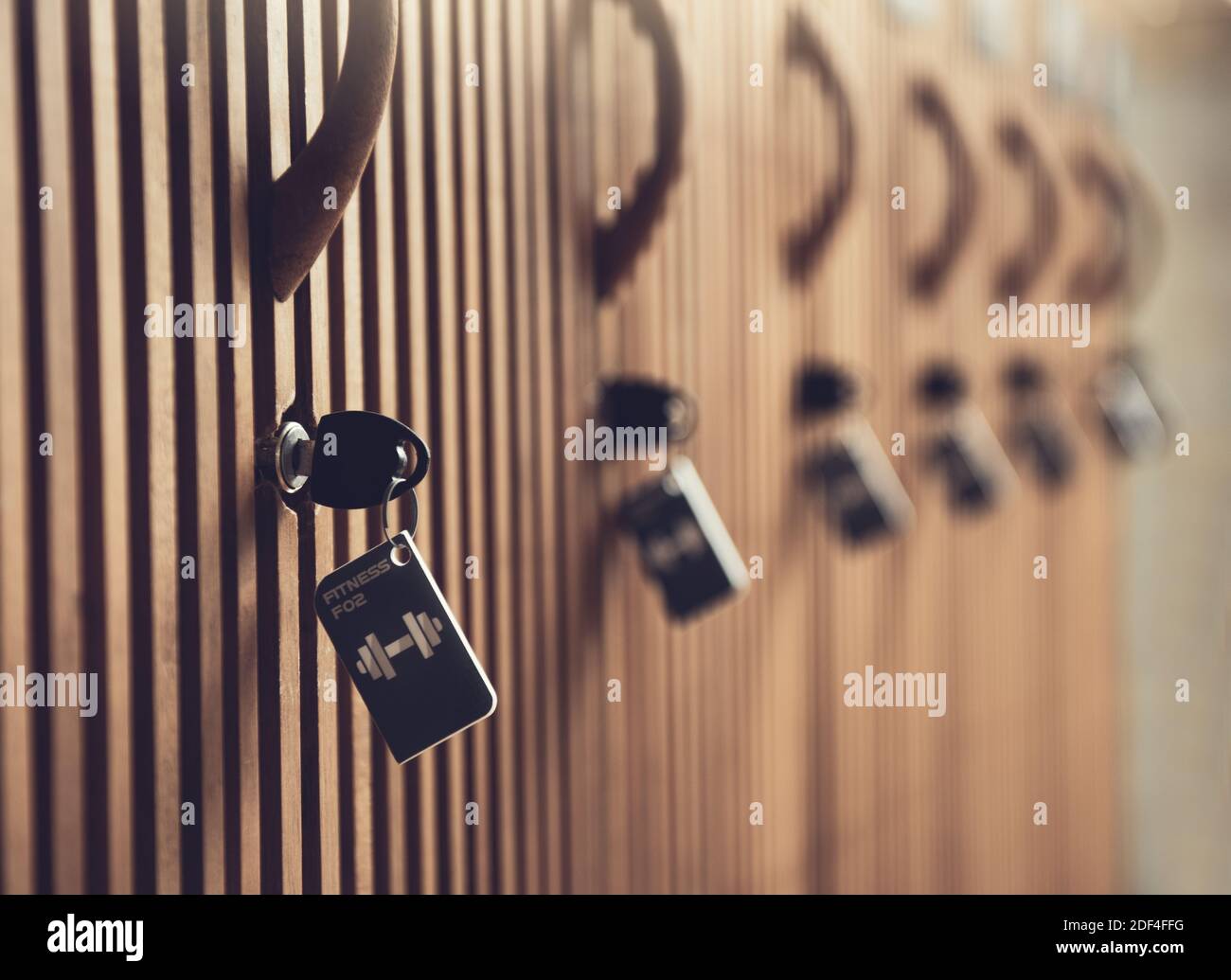 Modern Wood Lockers in a locker room at fitness Stock Photo