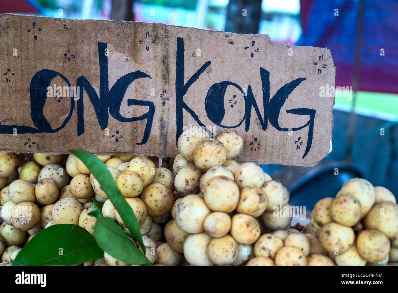 Lanzones philippines hires stock photography and images Alamy