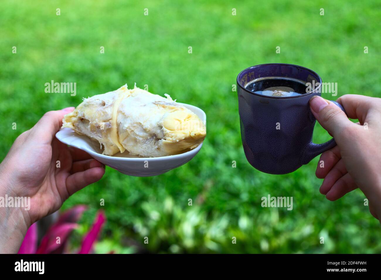 Slice of durian and coffee cup in female hands. South Asia traditional