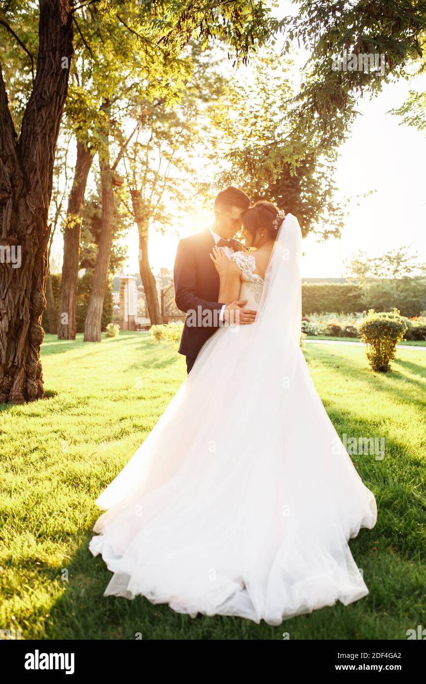 portrait of the bride and groom in nature Stock Photo - Alamy