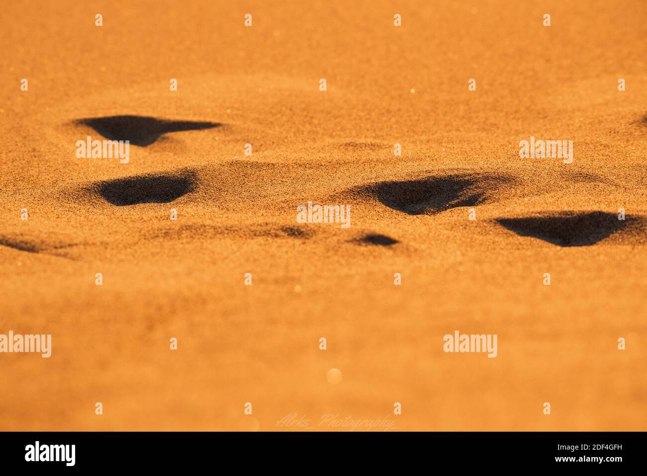 Footprints in desert sand Stock Photo Alamy