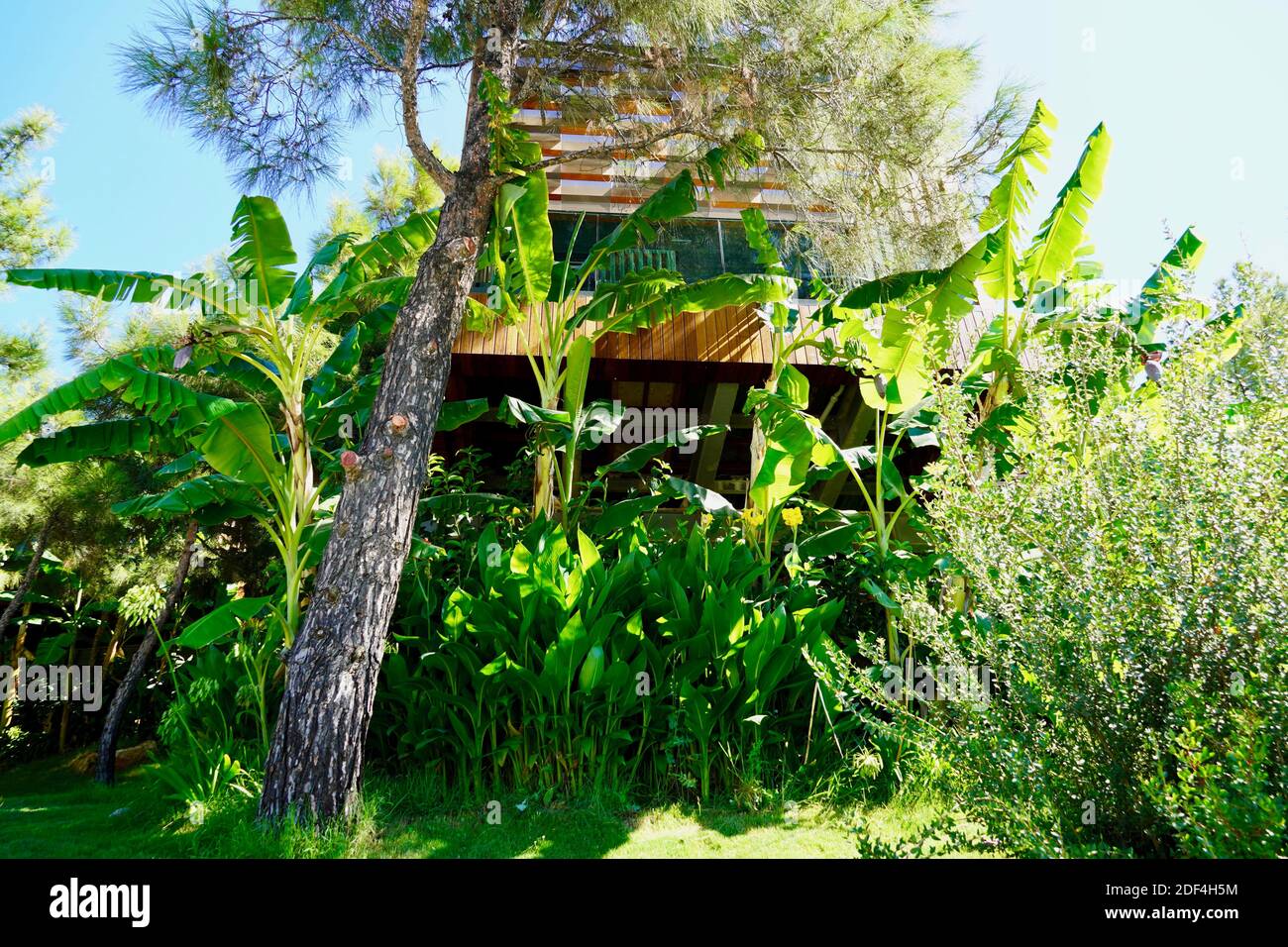 Luxury villa in bamboo garden Stock Photo