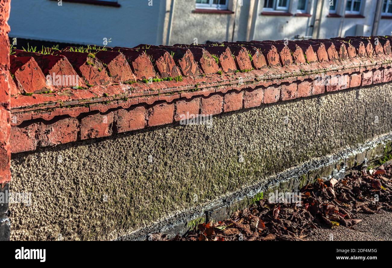 A front garden wall with coping of bricks Stock Photo Alamy