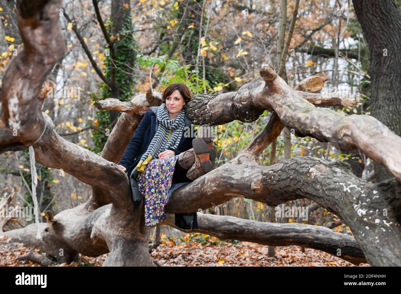 Julia Brendler High Resolution Stock Photography And Images Alamy