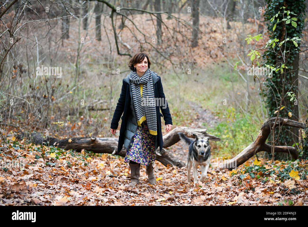 Berlin, Germany. 30th Nov, 2020. The actress Julia Brendler during a walk with her dog Istak in the park Schönholzer Heide in Niederschönhausen She plays the leading role in the film of the ZDF series 'Katie Fforde: Emmas Geheimnis', which will be broadcast on 06.12.2020 at 20.15. She is also known from the ZDF crime series 'Nord Nord Mord'. Istak is 11 years old and an animal protection dog from Moscow's streets. Credit: Jens Kalaene/dpa-Zentralbild/ZB/dpa/Alamy Live News Stock Photo