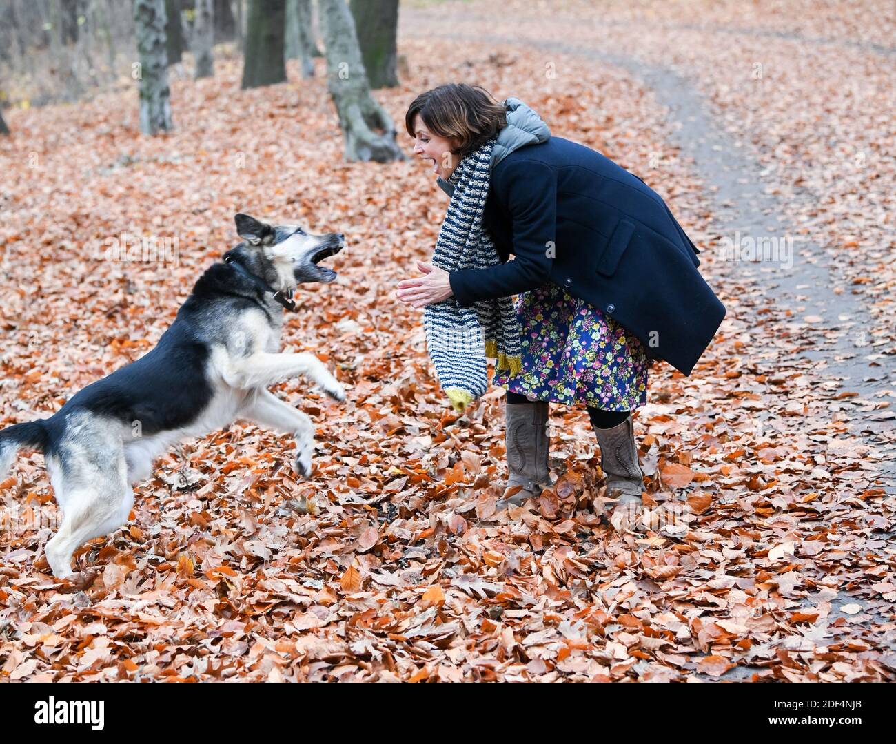 Julia Brendler High Resolution Stock Photography And Images Alamy