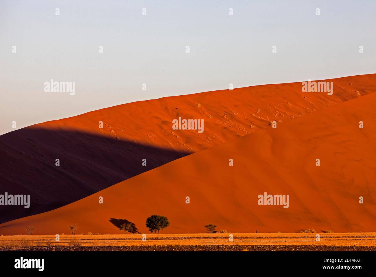 Namib Desert, Namib Naukluft Park, Sossusvlei Dunes in Namibia Stock ...