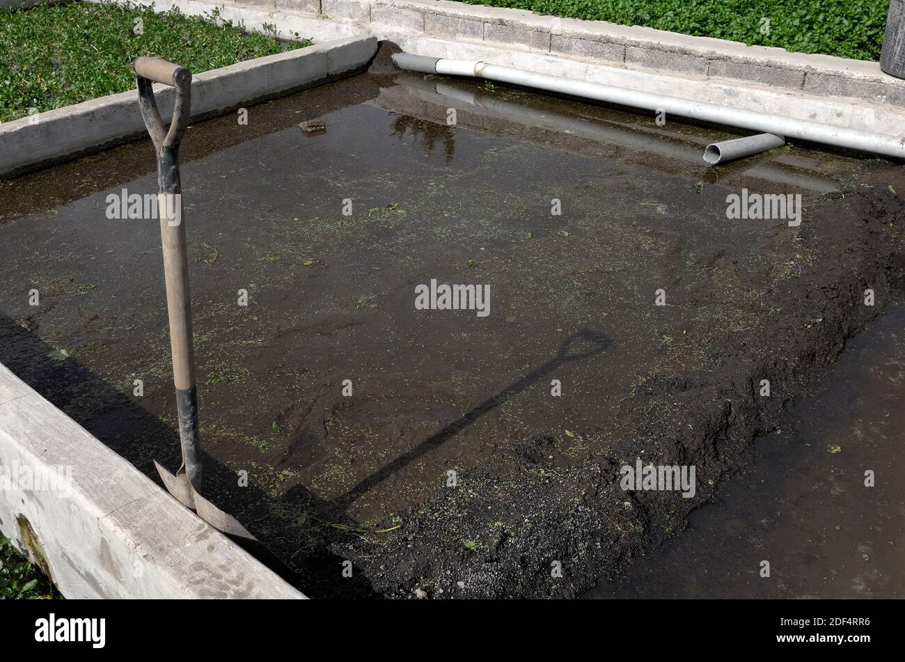 soil exposed in watercress bed being prepared for seed sowing for a new crop of watercress Stock Photo