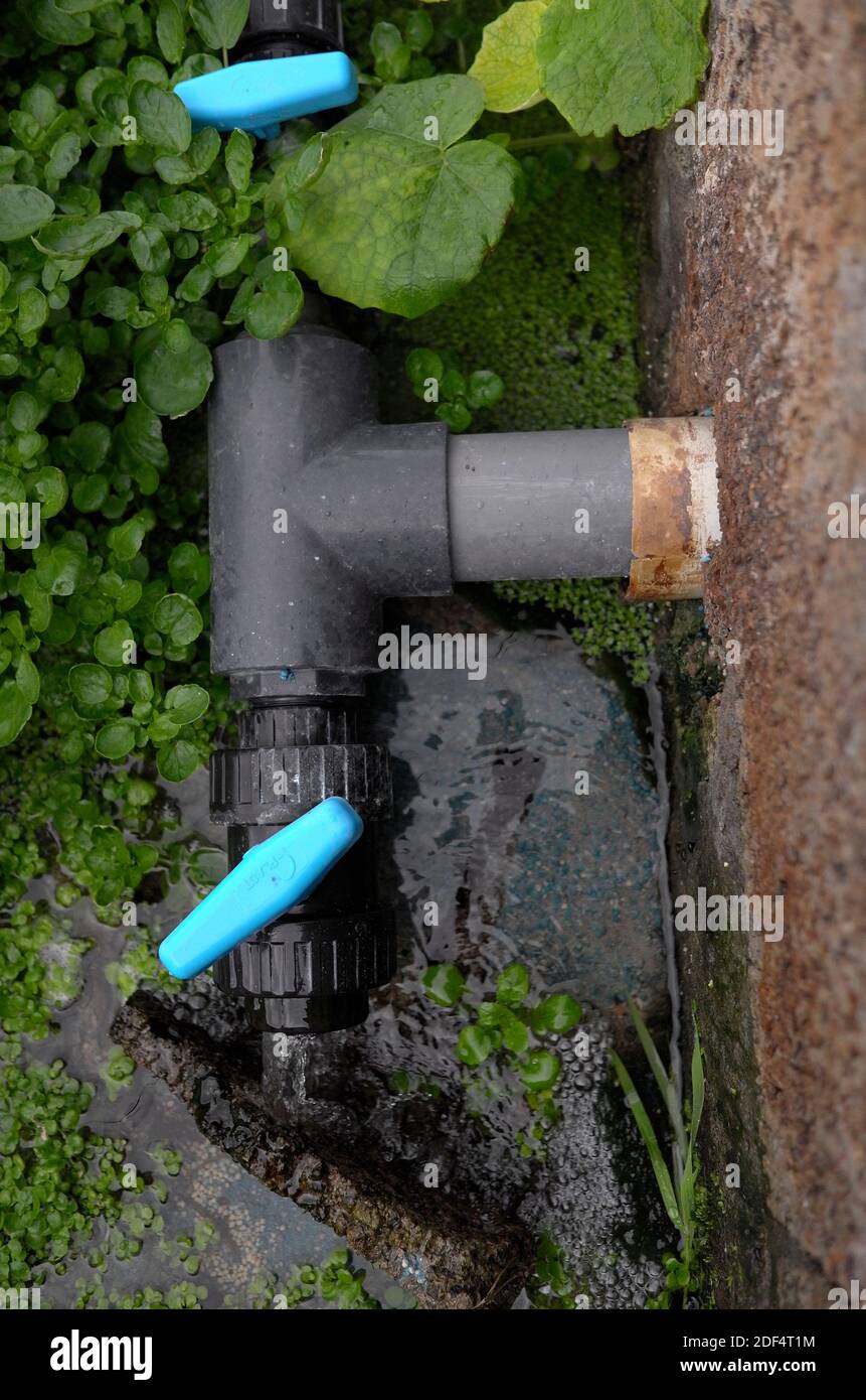 Pipes controlling flower of spring water through watercress beds Stock Photo