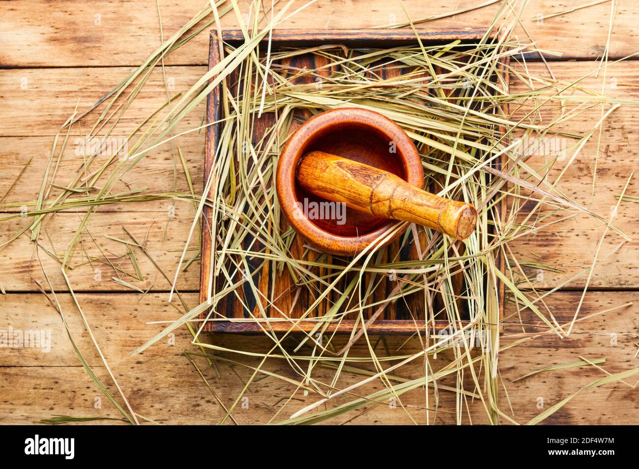 Medicinal use of the herb sweet grass.Herbal medicine,homeopathy Stock Photo