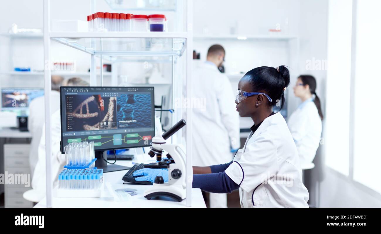 Concentrated chemist african researcher using computer in modern ...