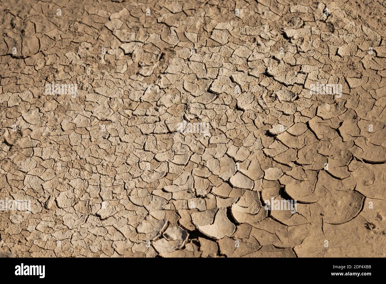 Cracked dry earth soil due to global warming effect Stock Photo - Alamy