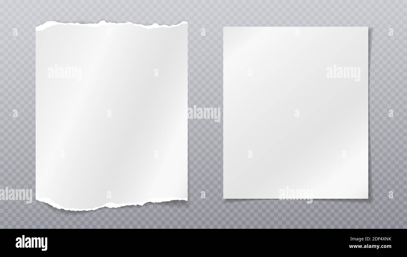 Torn of white note, notebook paper are on grey transparent background ...