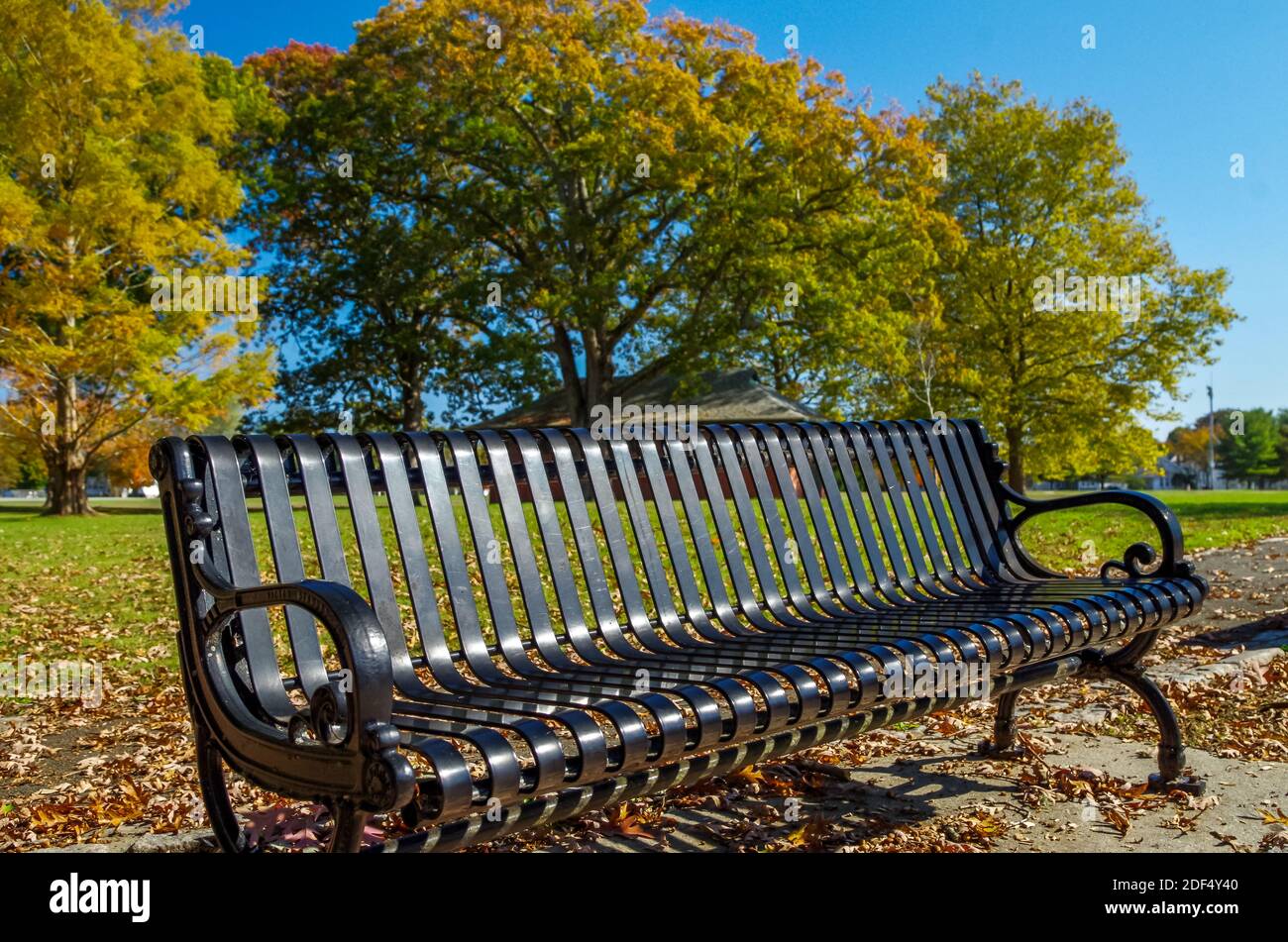 Park bench and fall foliage buttonwood park new bedford ma stock