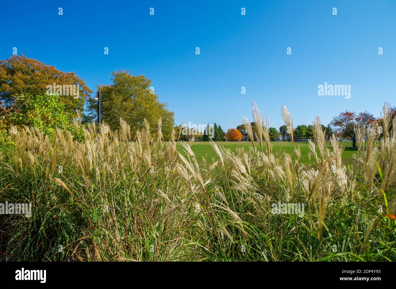 The Garden at Buttonwood Park, New Bedford, MA Stock Photo