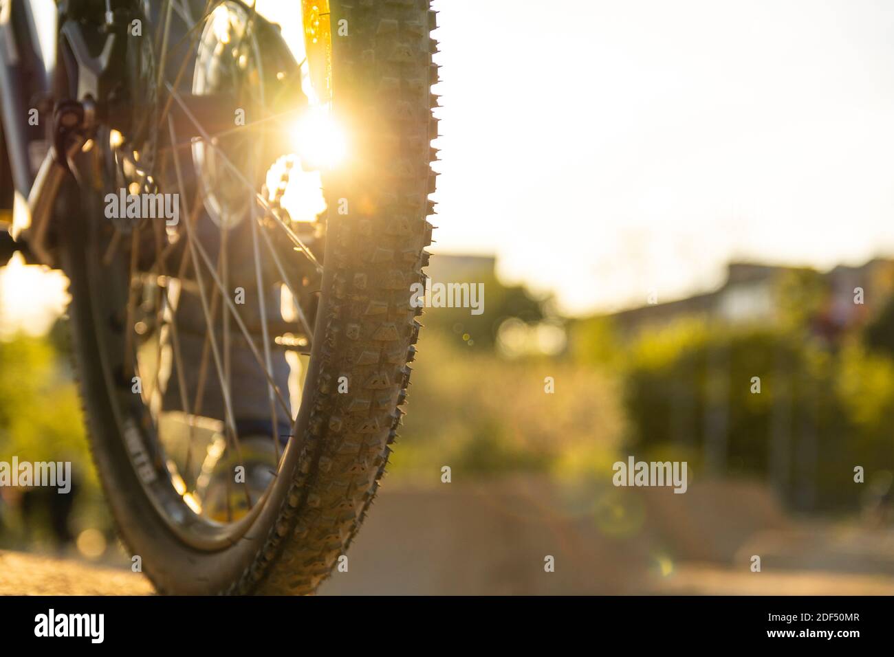 Back shot of mountain bike rear wheel. Bicycle wheels close up image on sunset. Stock Photo