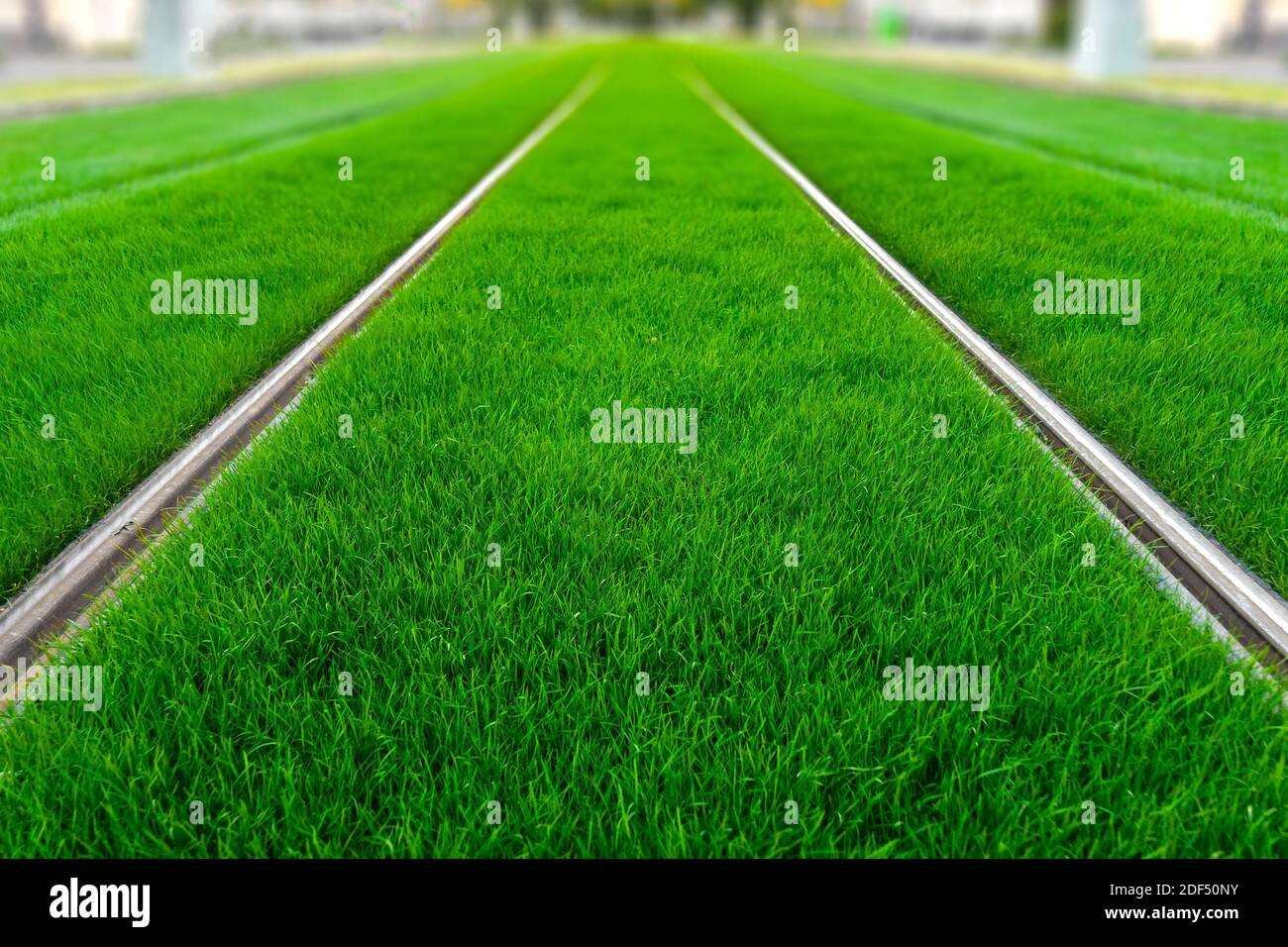 Green track. Grass covered tramway track. Greenery in the city. Habitable zone reduce urban heat. Island effect. Stock Photo