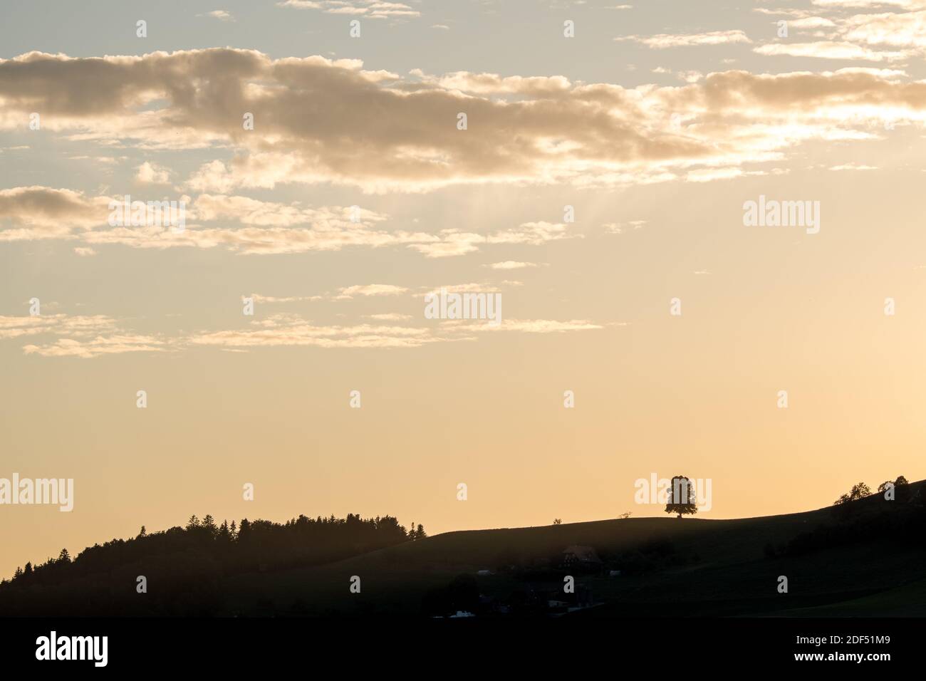 silhouette of tree and hill with spectacular sunlit cloud in a blue sky ...