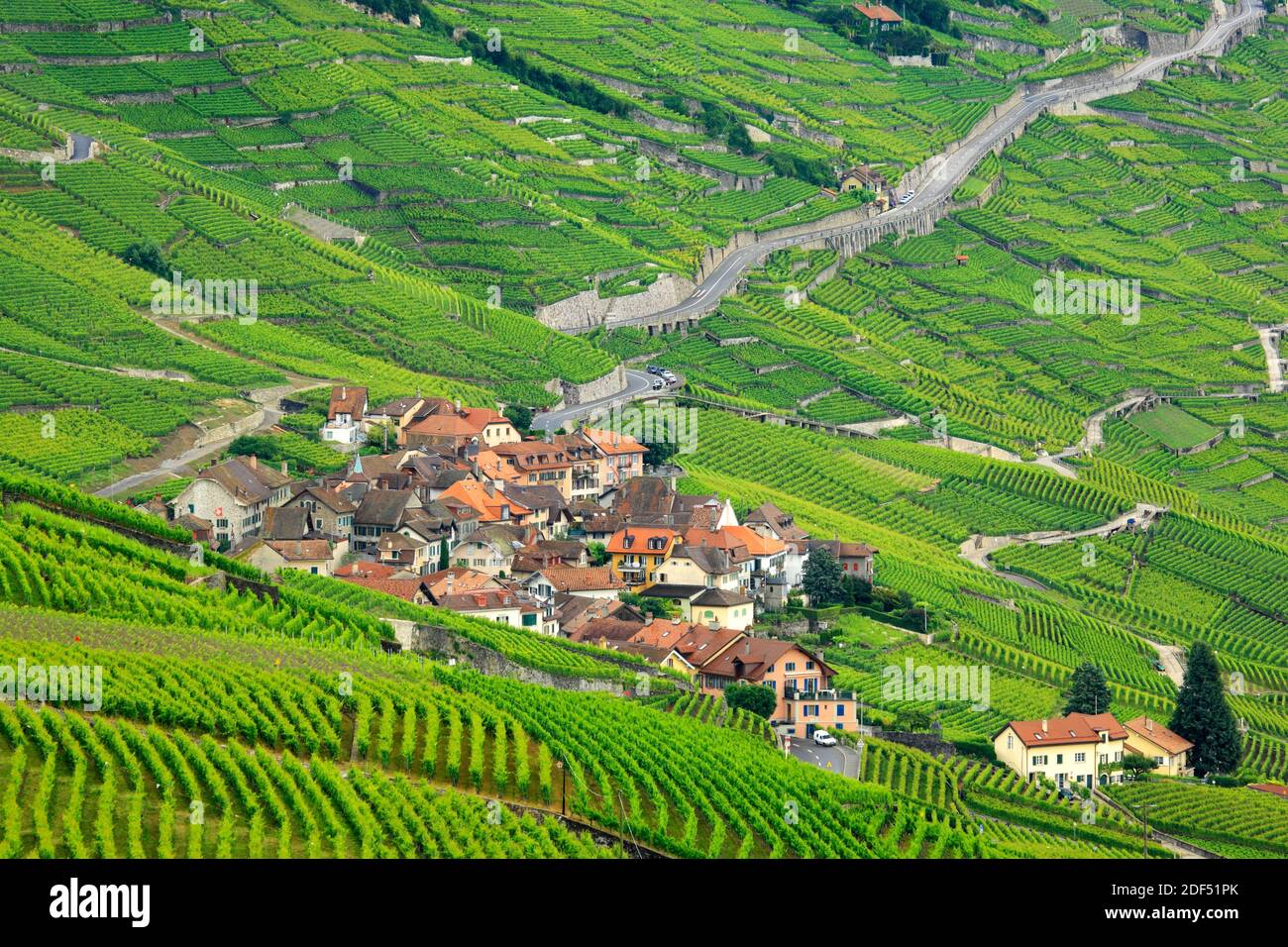 geography / travel, Switzerland, Vaud, Epesses, Epesses village in the middle of the Lavaux vineyards , Additional-Rights-Clearance-Info-Not-Available Stock Photo