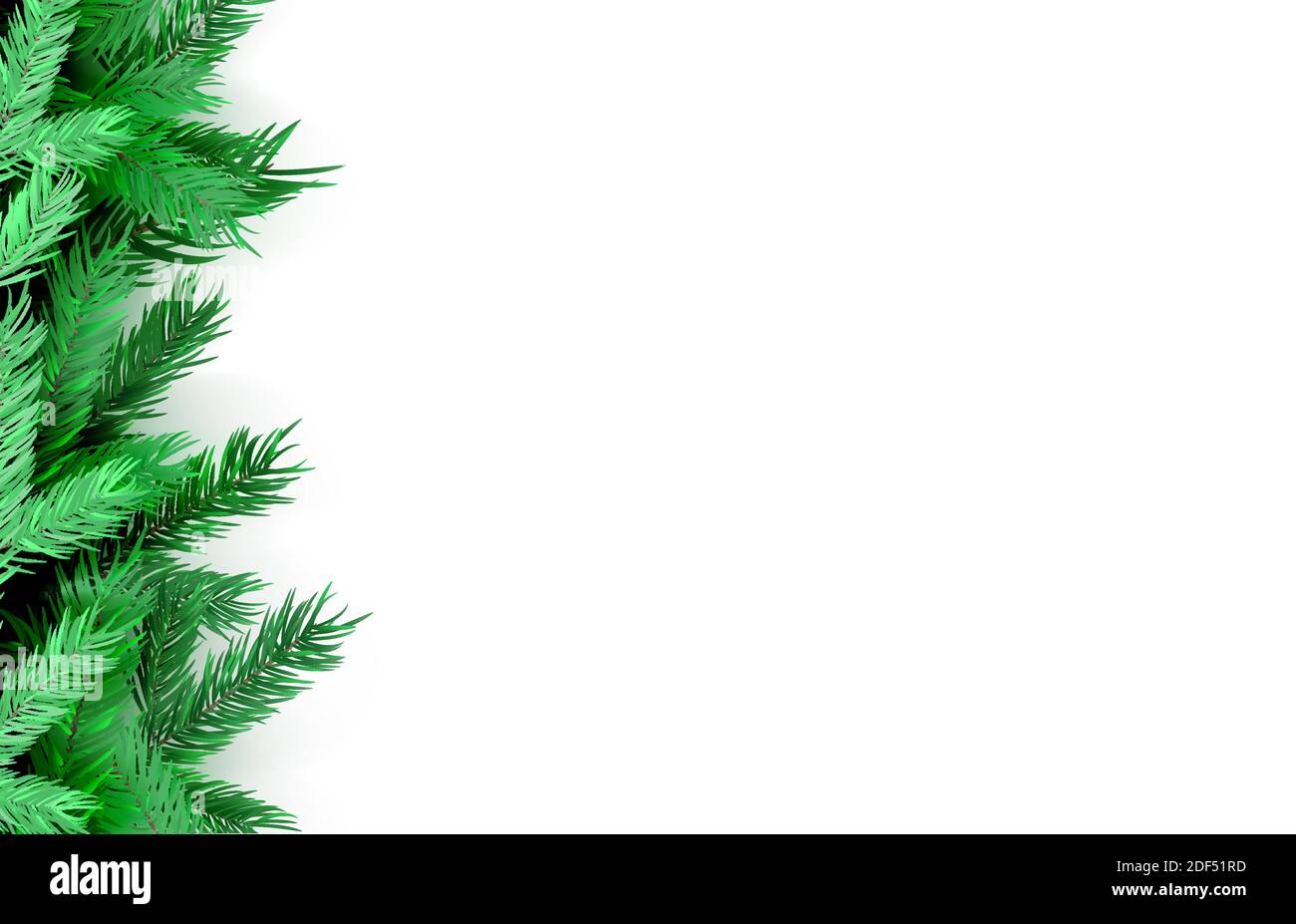 Spruce branches isolated on white background. Vector christmas tree. Stock Vector