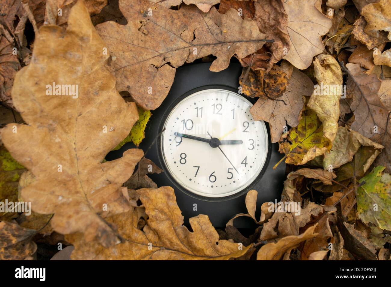 Vintage table clock among fallen autumn leaves Stock Photo - Alamy