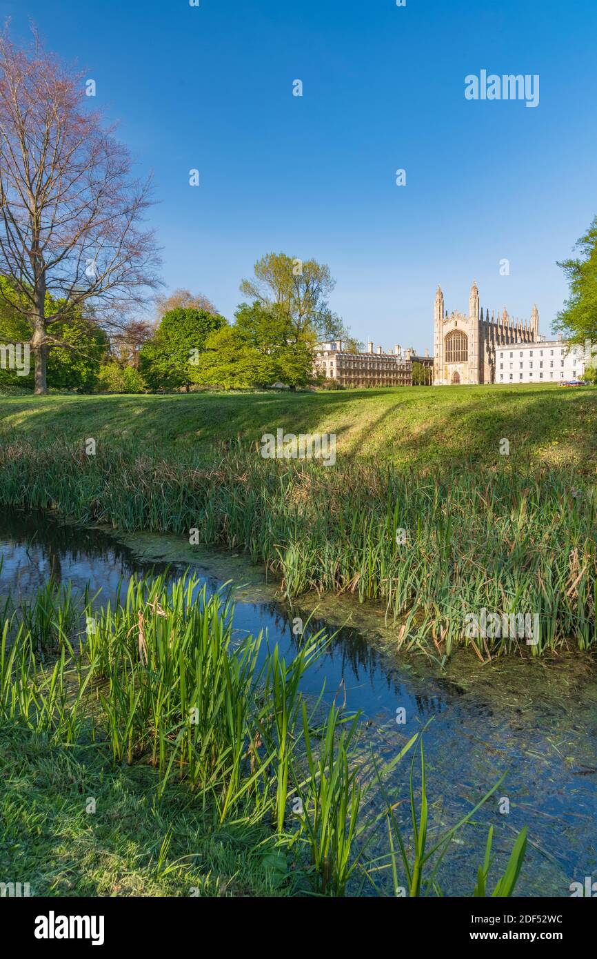 UK, England, Cambridgeshire, Cambridge, The Backs, King's College Chapel Stock Photo