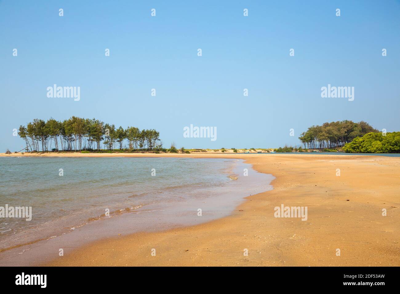 india-goa-galgaibag-beach-stock-photo-alamy