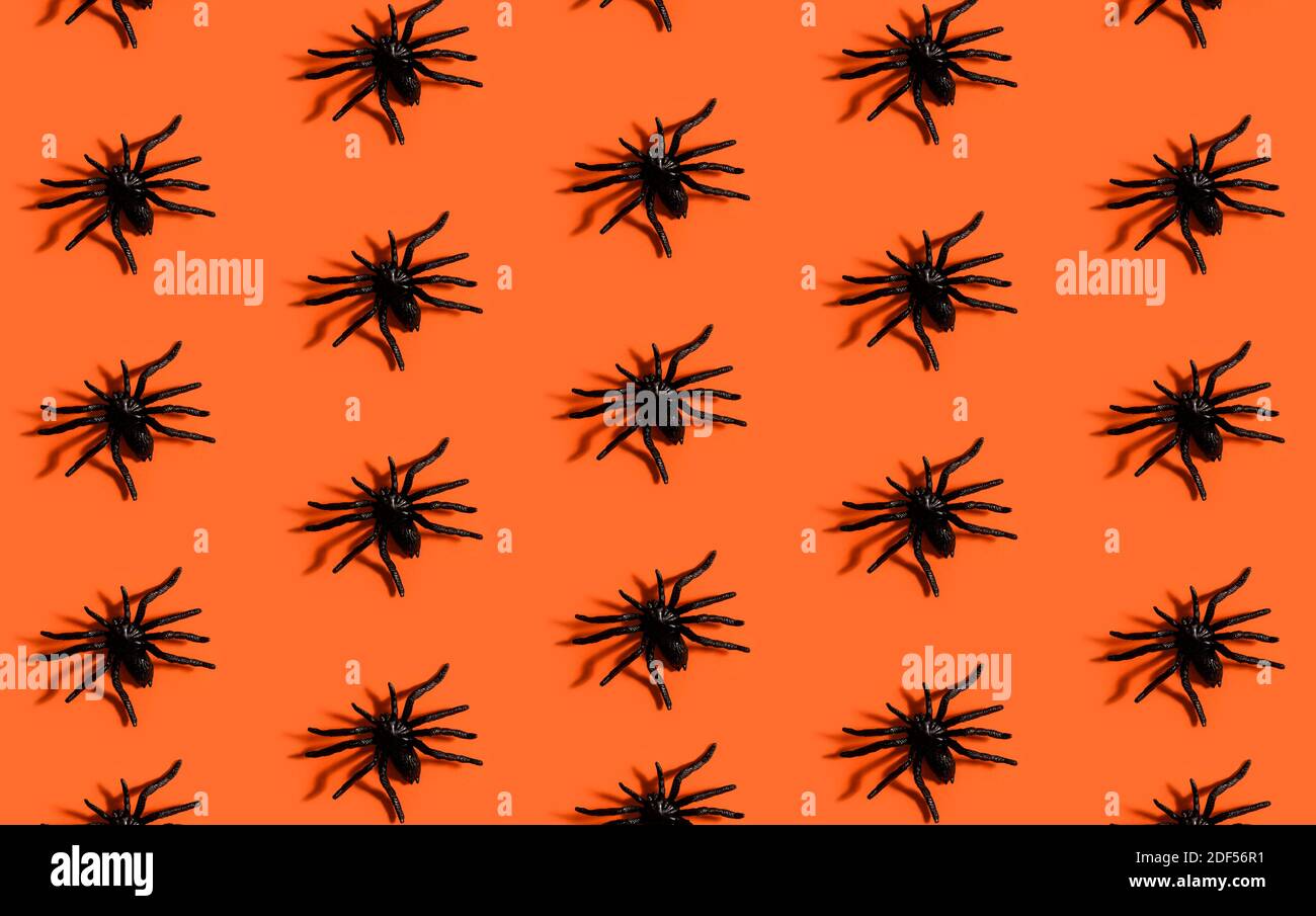 Halloween background pattern. Scary black spider on orange paper ...