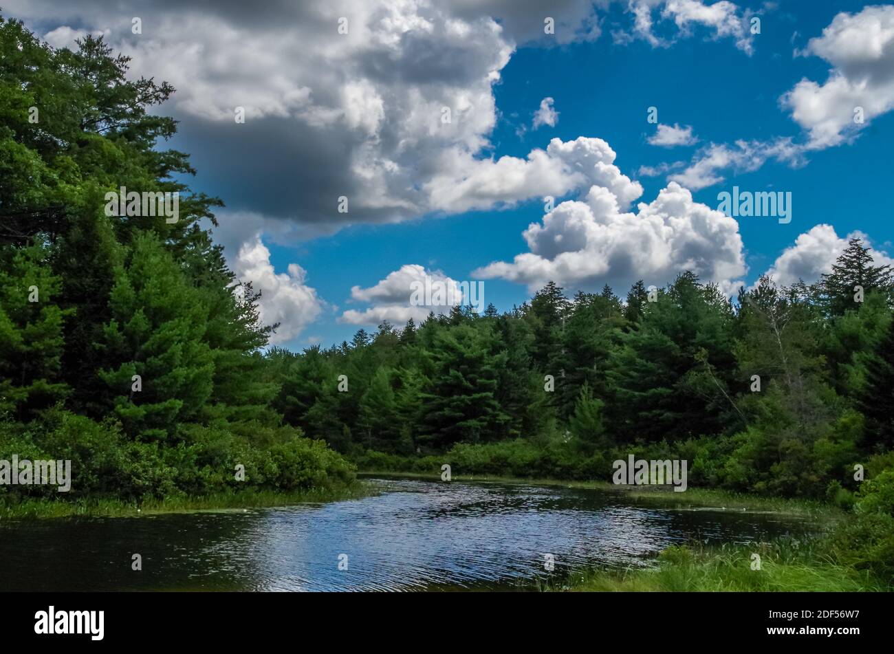Middle Pea Porridge Pond, Madison, NH Stock Photo Alamy