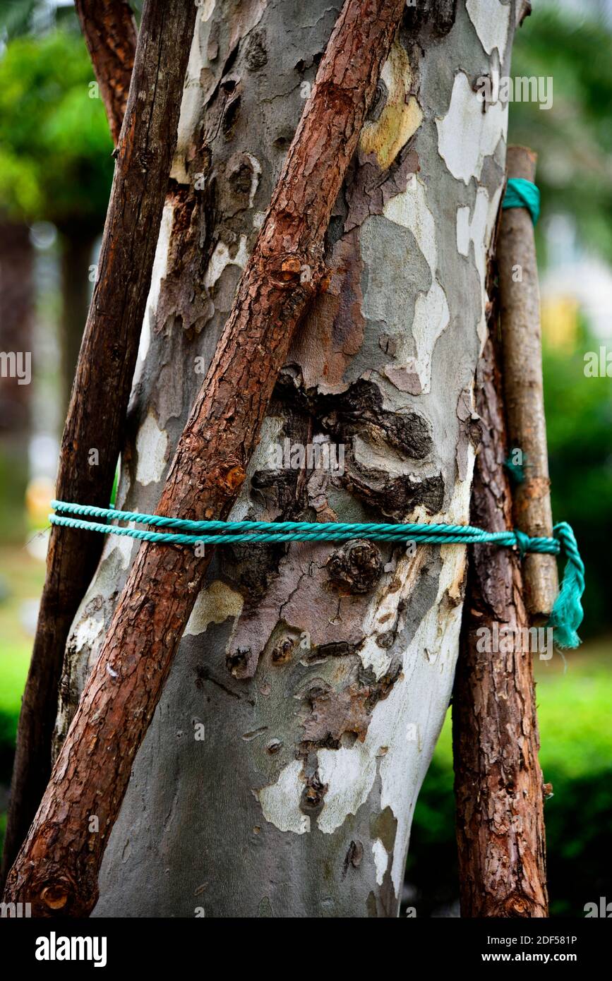 Shengsi Island China Stock Photo Alamy