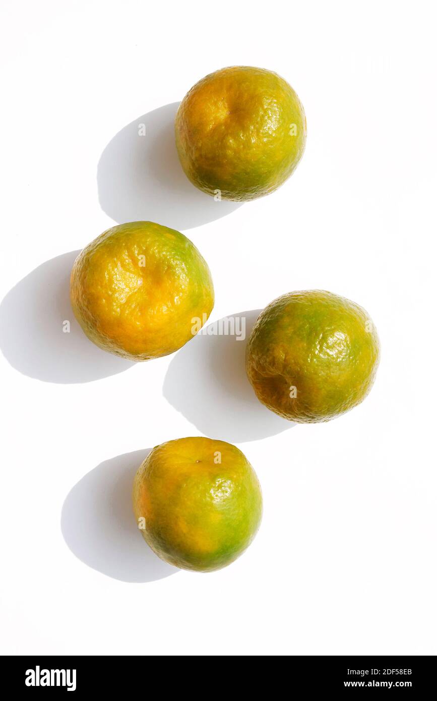 A STILL LIFE OF ORANGES, FRUIT Stock Photo - Alamy