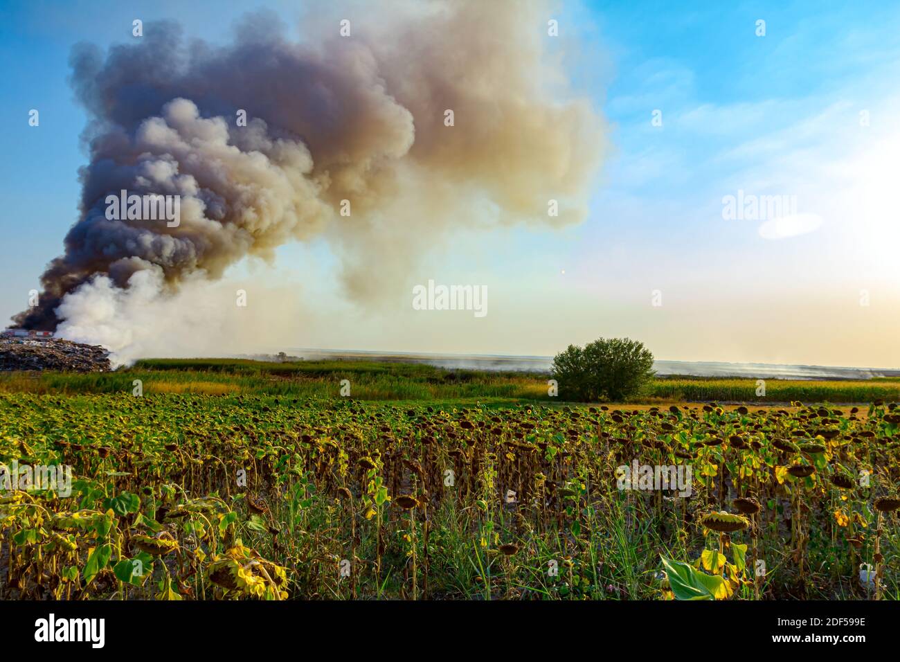 Burning garbage dump pollutes the environment; wind raises toxic smoke