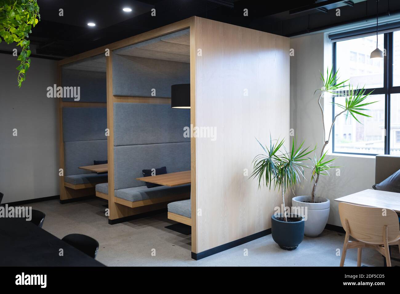 Empty cafeteria in creative office with booths, table, window and plants Stock Photo