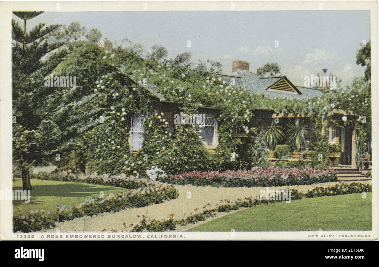 A Rose Embowered Bungalow, California, still image, Postcards, 1898 - 1931 Stock Photo