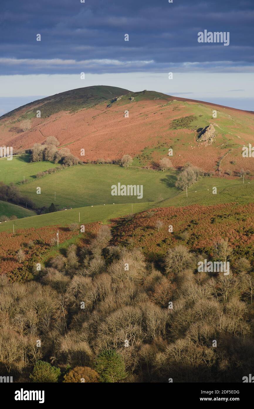 Hope Bowdler Hill, Shropshire, UK Stock Photo