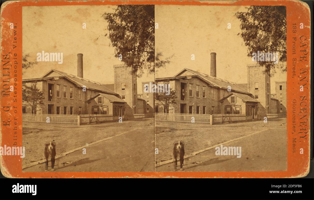 Rollins Insurance Belmont Crucible Series Books 12 14 By Rollins Insurance Belmont Crucible Series Books 12 14 By