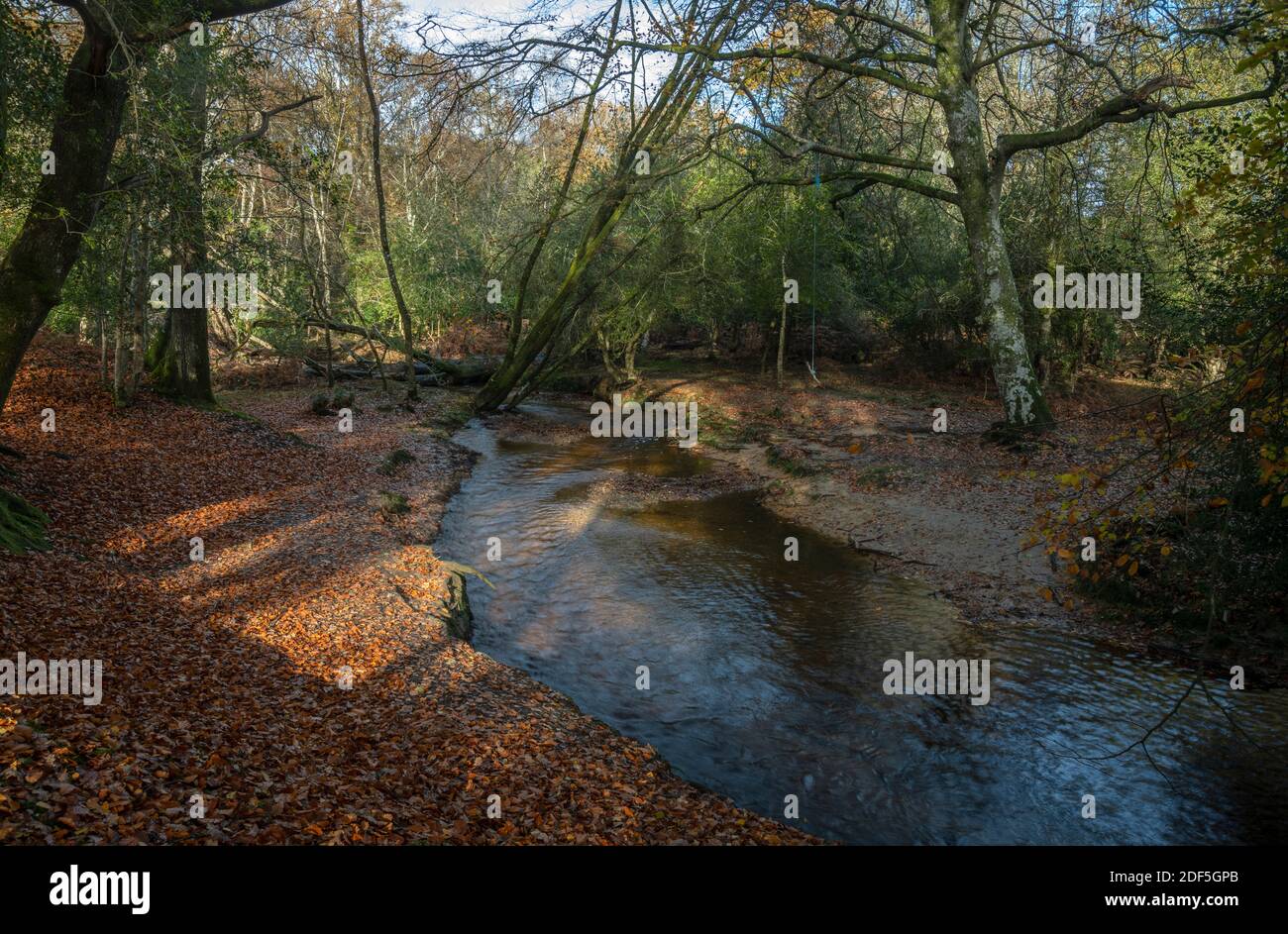 New Forest River, Highland Water, at Millyford Bridge in autumn, in the New Forest, Hampshire. Stock Photo