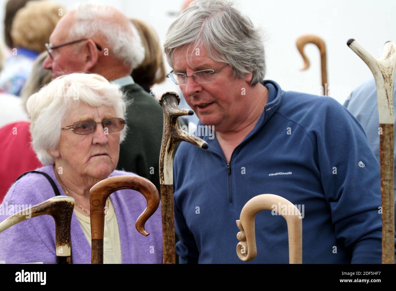 Ayr Flower Show 2014, Rozelle Park, Ayr, Ayrshire, Scotland UK. People ...