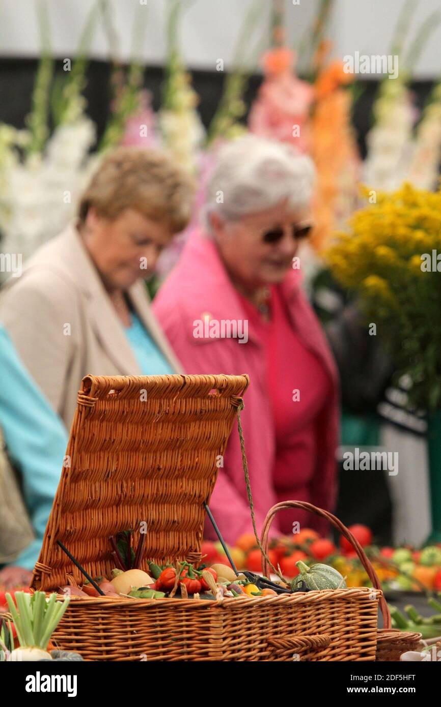 Ayr Flower Show 2014, Rozelle Park, Ayr, Ayrshire, Scotland UK. People